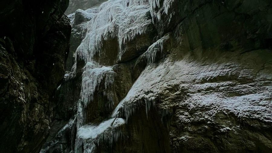 Winter Worn Wit