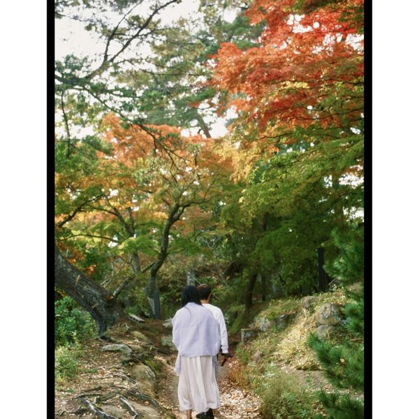 Autumn and Winter in East Asia on Film