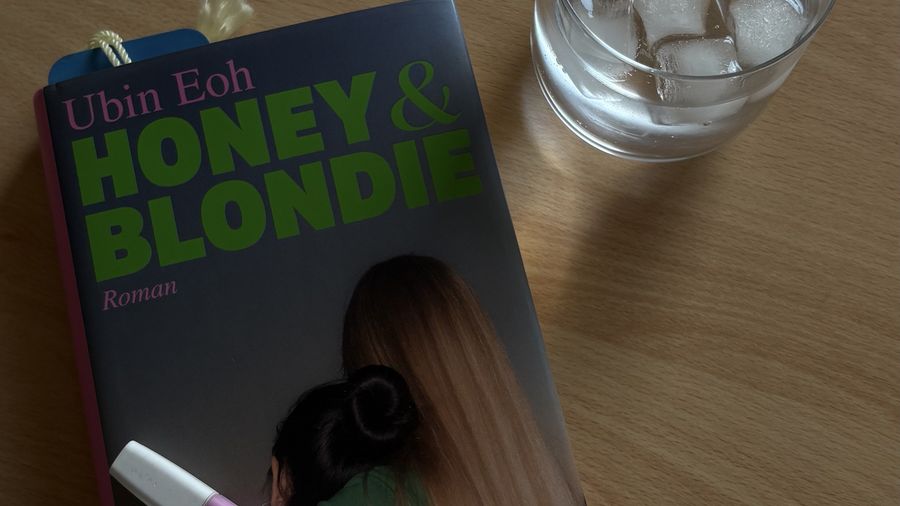 "I Took a Deep Breath, Blew It Out and Wished to Always Be Honey's Friend." – Honey & Blondie Book Review
