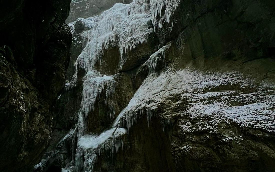 Winter Worn Wit